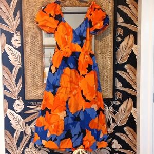 Tabitha Brown Colorful Dress